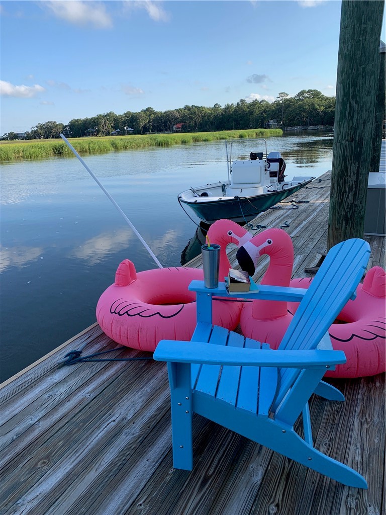 1809 Hird Island Darien, GA 31305 - Photo 41 of 51 Dock