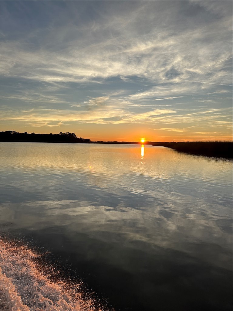 1809 Hird Island Darien, GA 31305 - Photo 44 of 51