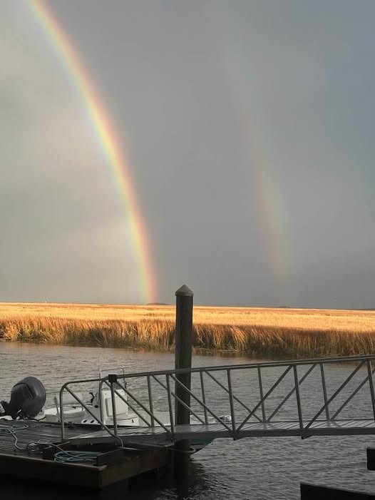 1809 Hird Island Darien, GA 31305 - Photo 48 of 51 Rainbow over marsh