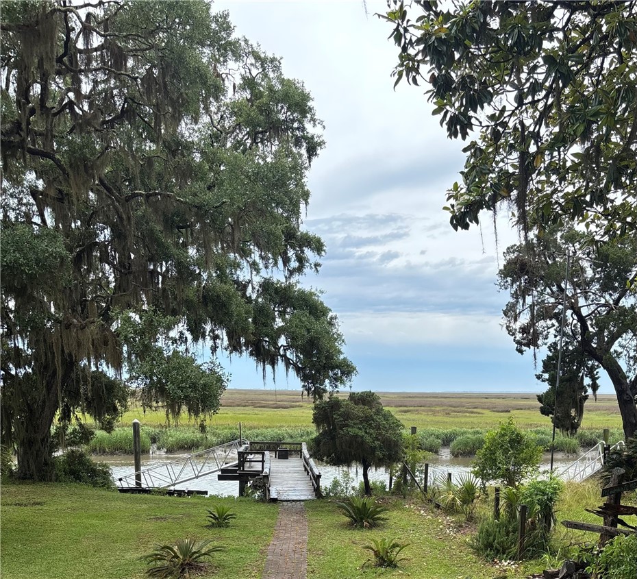 1809 Hird Island Darien, GA 31305 - Photo 5 of 51 Looking east over Marsh