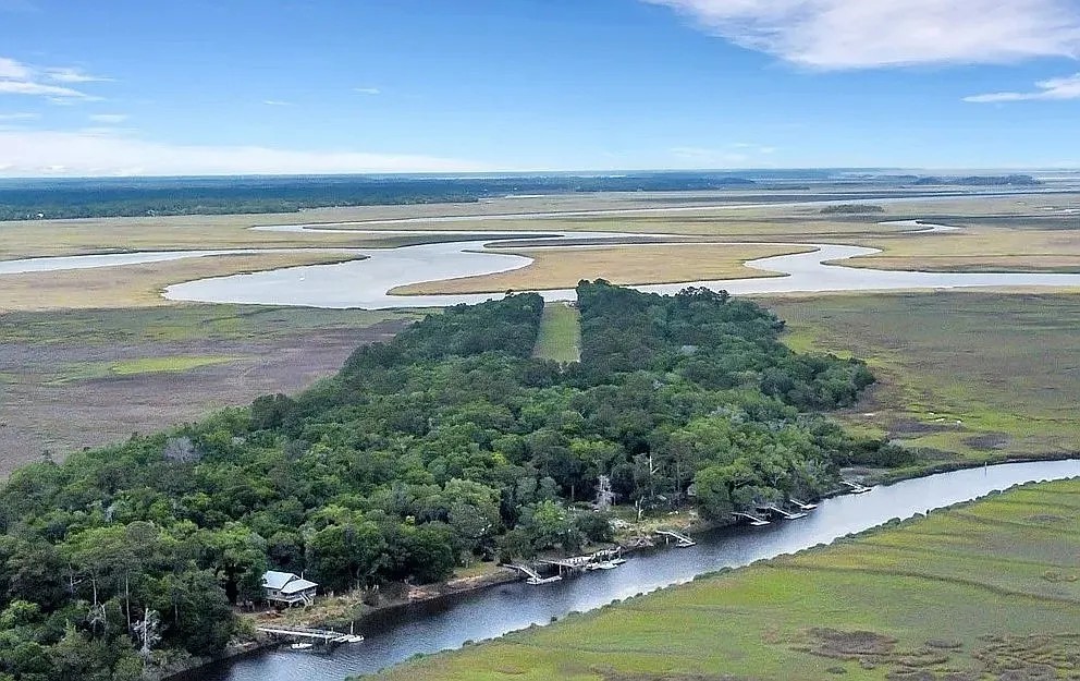 1809 Hird Island Darien, GA 31305 - Photo 51 of 51 Grassy Airstrip