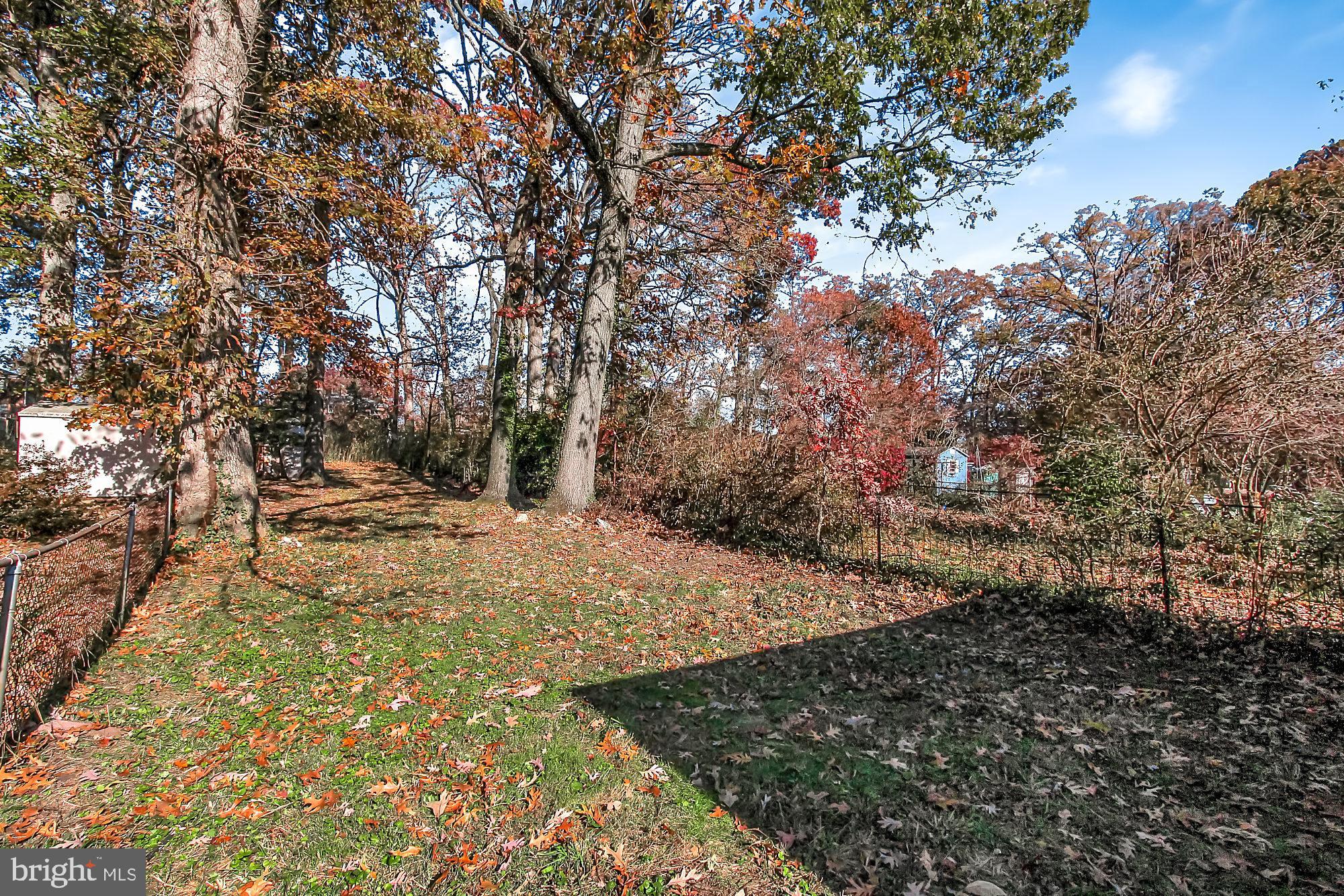 1656 Mussula Road Towson, MD 21286 - Photo 18 of 26 Enjoy the autumn colors.