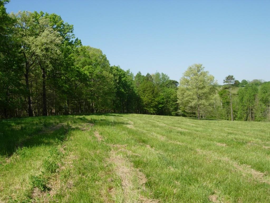 0 Casey Road Lavonia, GA 30553 - Photo 1 of 1