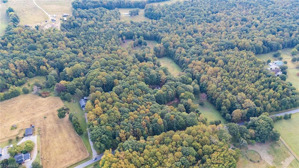 223 Wendy Oak Road Reidsville, NC 27320 - Photo 45 of 50