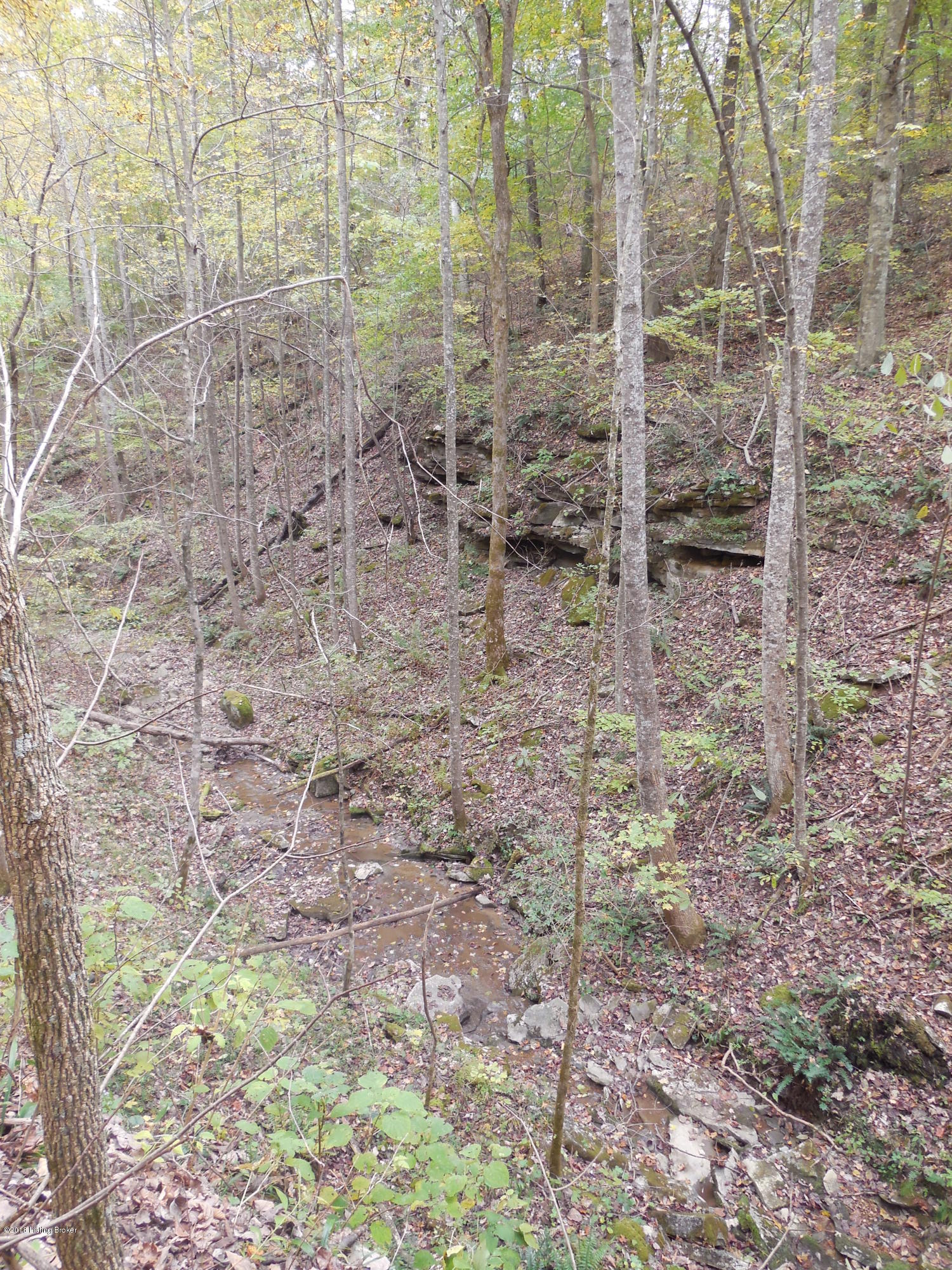 0 Corinth Road Buffalo, KY 42716 - Photo 25 of 30 DSCN1786
