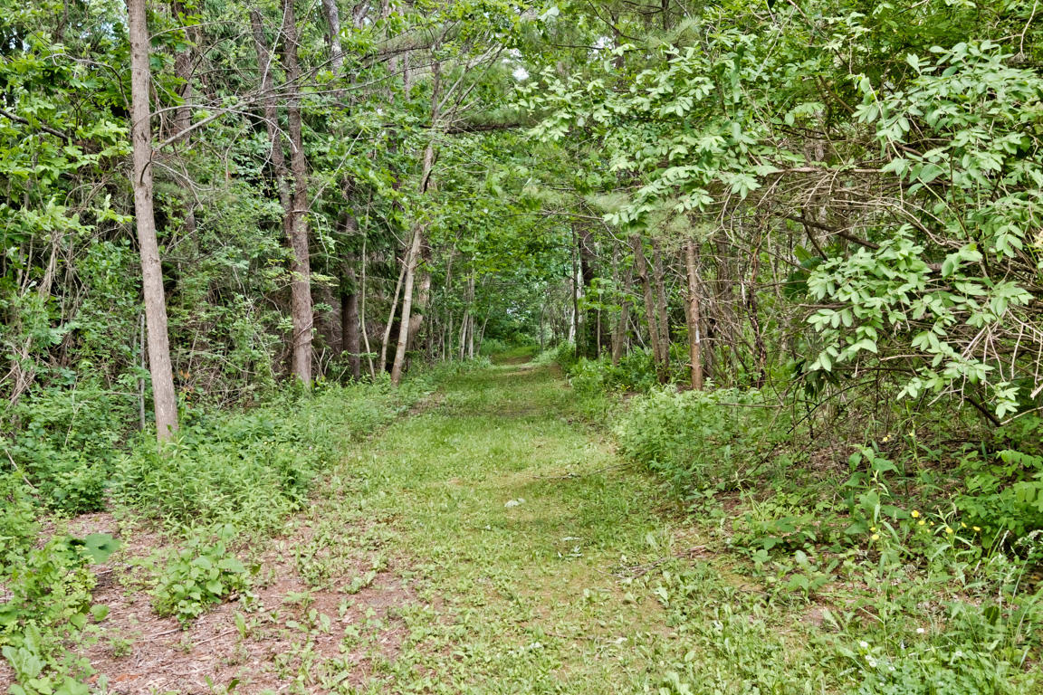 11 Lanewood Road Cumberland Foreside, ME 04110 - Photo 79 of 85 20160614gp-65083