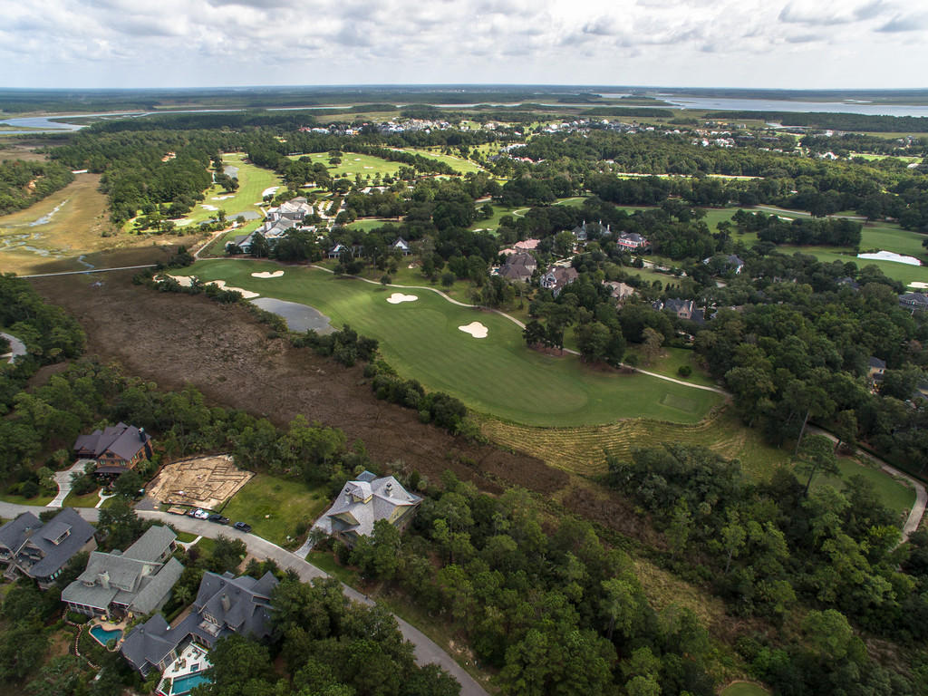 48 Watroo Point Daniel Island, SC 29492 - Photo 5 of 51 aerial to back 3