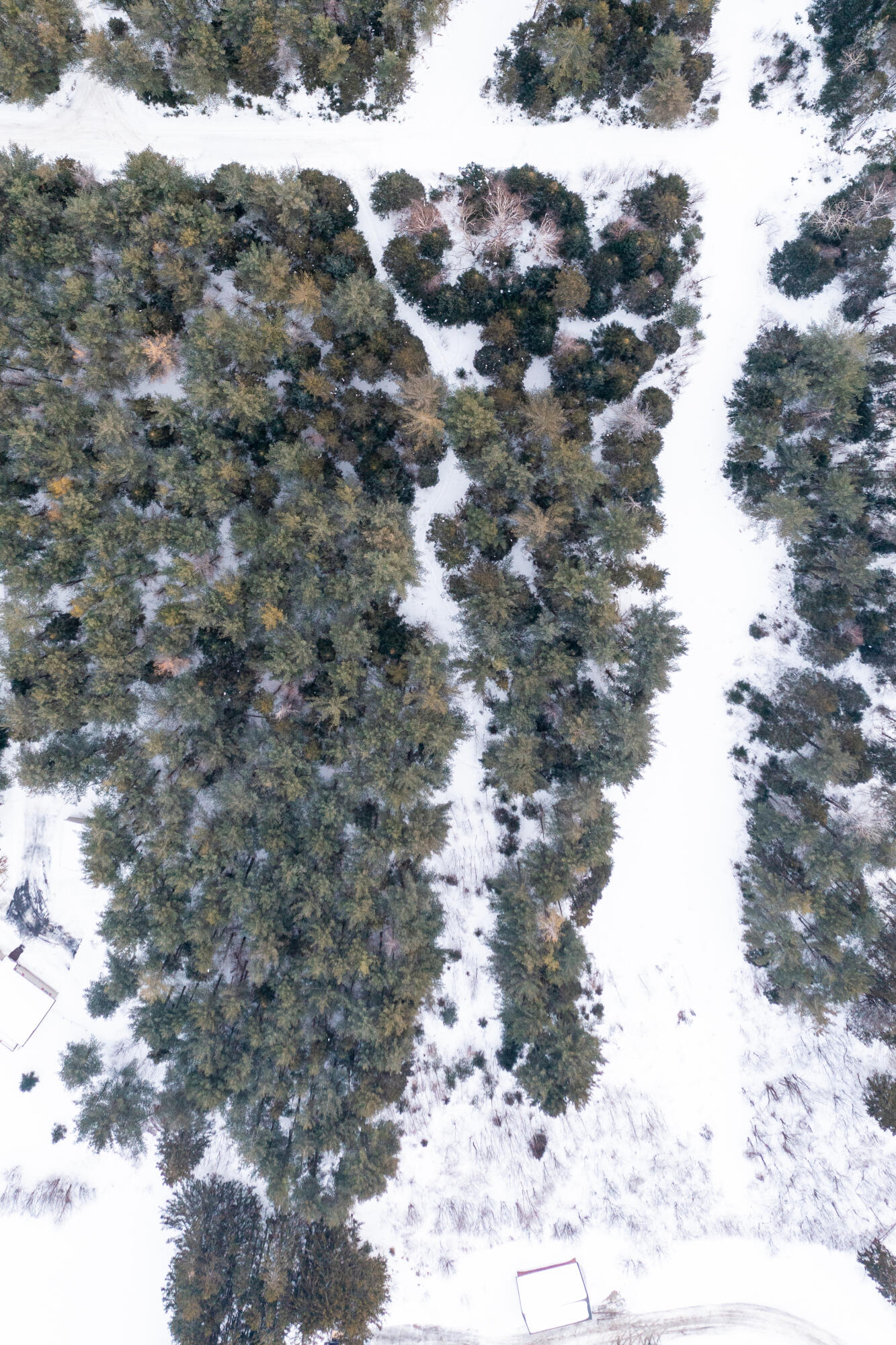 4 Map Lane Rangeley, ME 04970 - Photo 13 of 16 Aerial / Above Lot