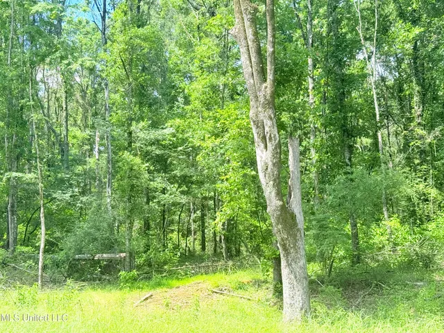 $175,000 | Meadow Lane, Madison, MS 39110