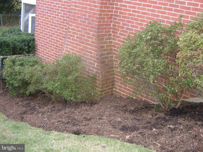 4002 Highview Drive Silver Spring, MD 20906 - Photo 28 of 30 Garden #2