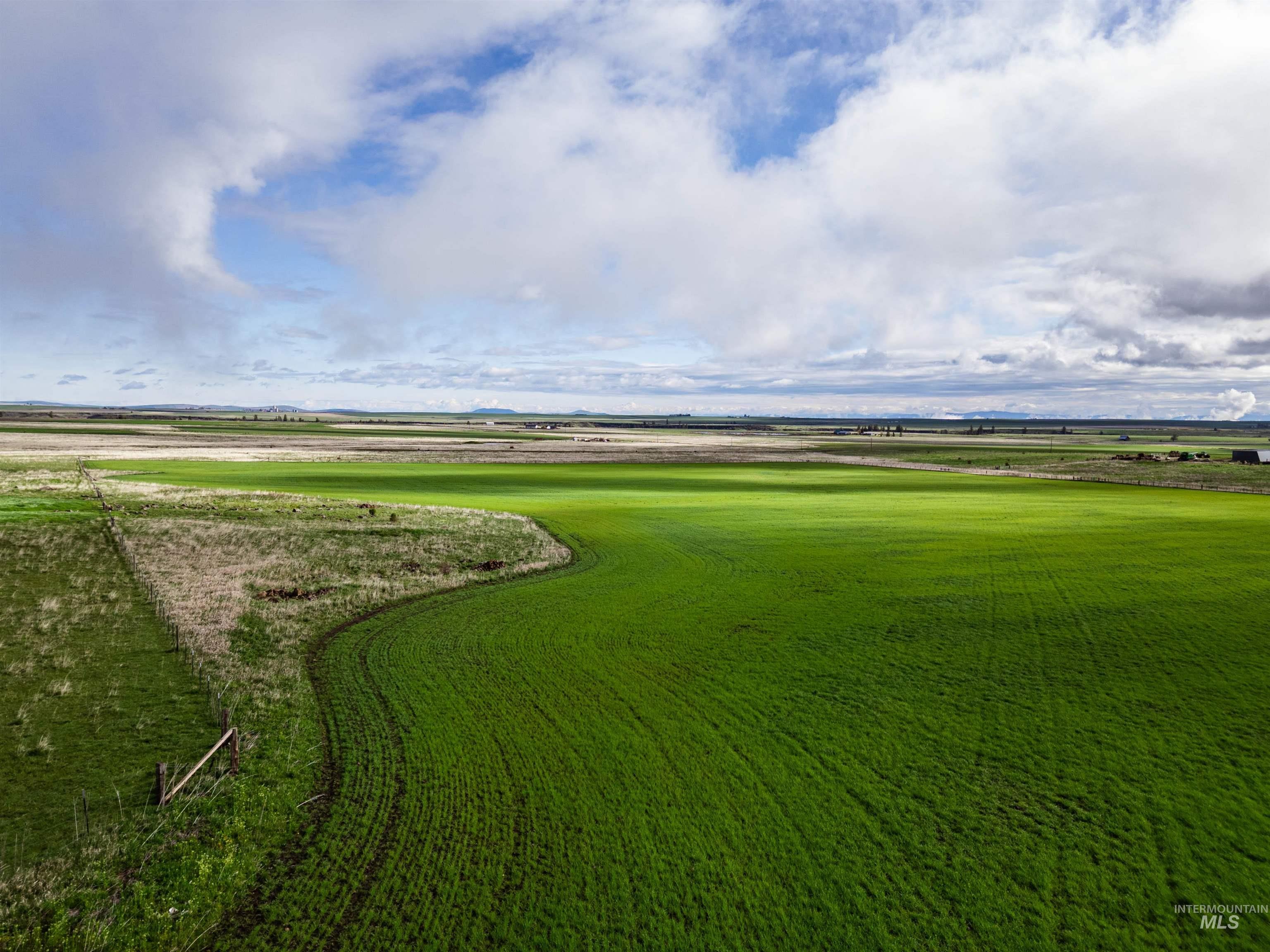 Lot 2 Gill Point Road Grangeville, ID 83530 - Photo 1 of 20
