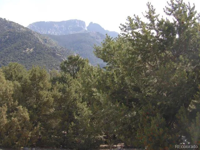 a view of a large tree in a field