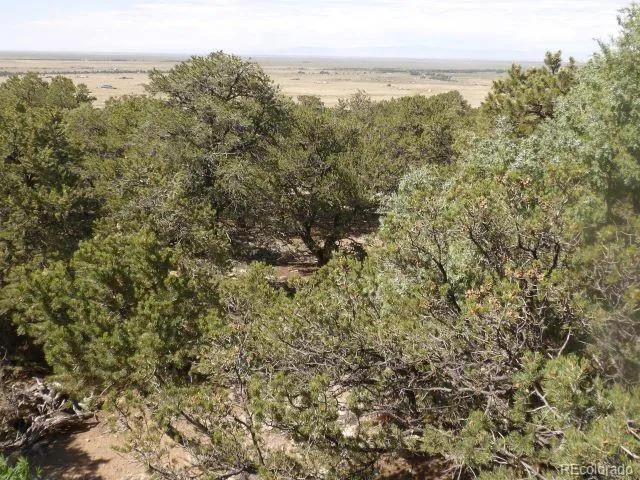 an aerial view of forest