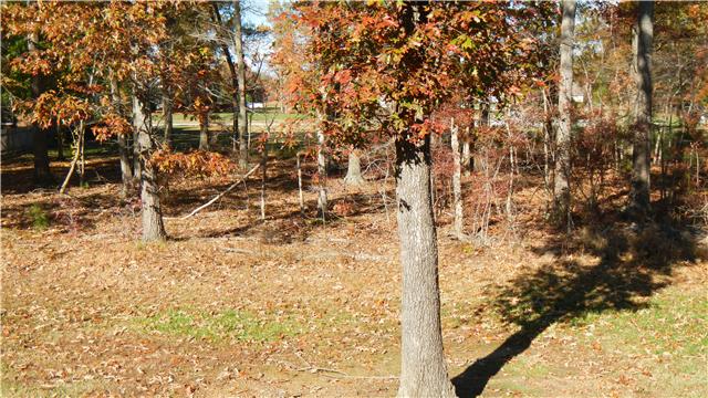 1205 East End Road Manchester, TN 37355 - Photo 14 of 14 Private yard backs up to Heritage Place subdivision.