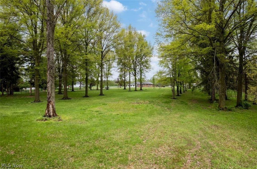 2530 Tuckahoe Road Wooster, OH 44691 - Photo 9 of 29 Expansive green space featuring mature trees and a distant residential structure