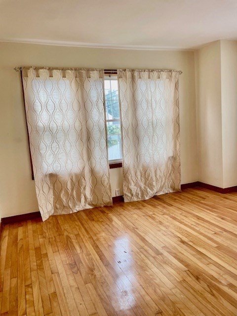 259 Massasoit Road Worcester, MA 01604 - Photo 10 of 16