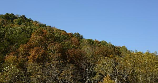 1 Anderson Branch Road Stanton, KY 40380 - Photo 14 of 27 Photo 14