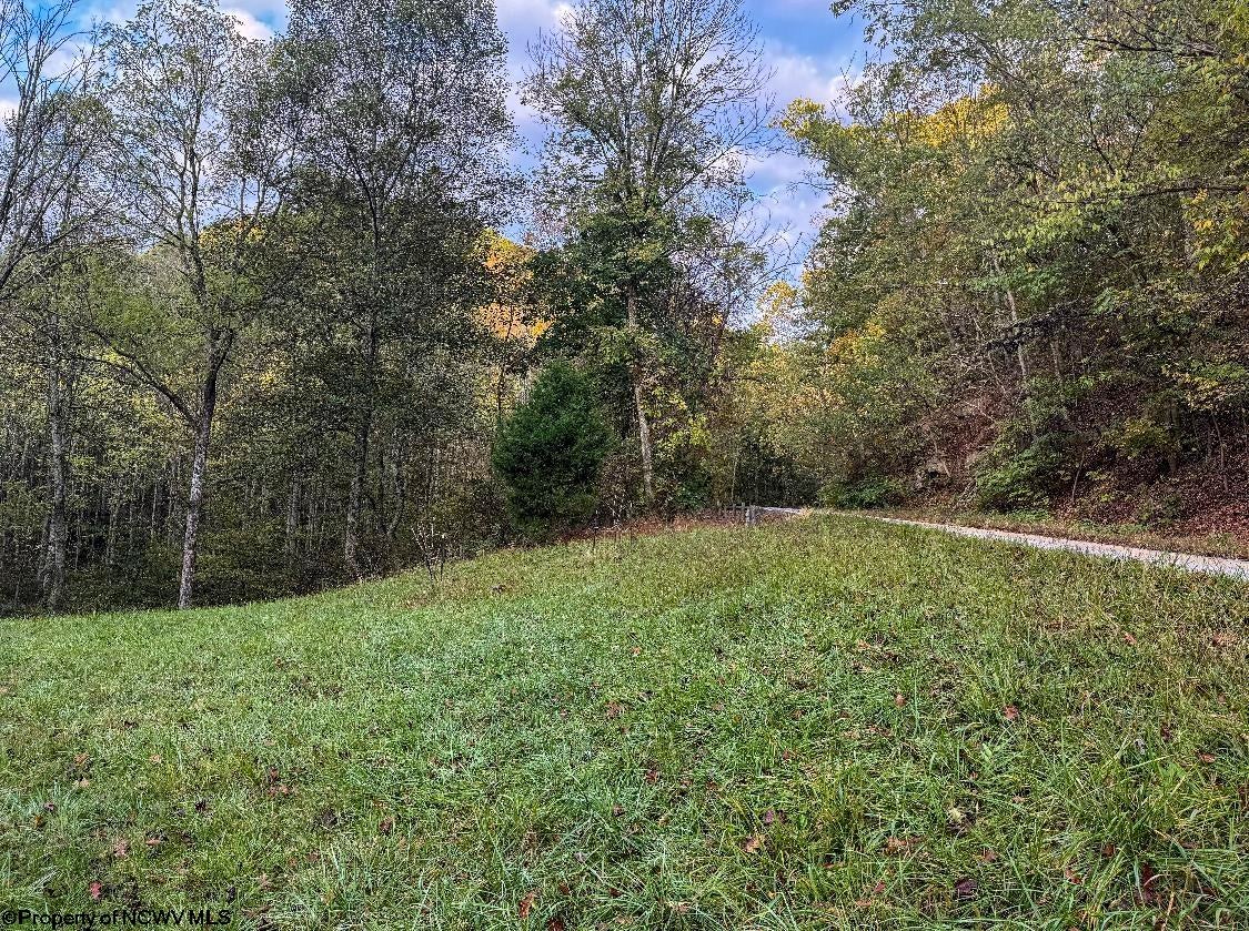 513 Barker Run Road Littleton, WV 26581 - Photo 3 of 29 Gallery Image 3