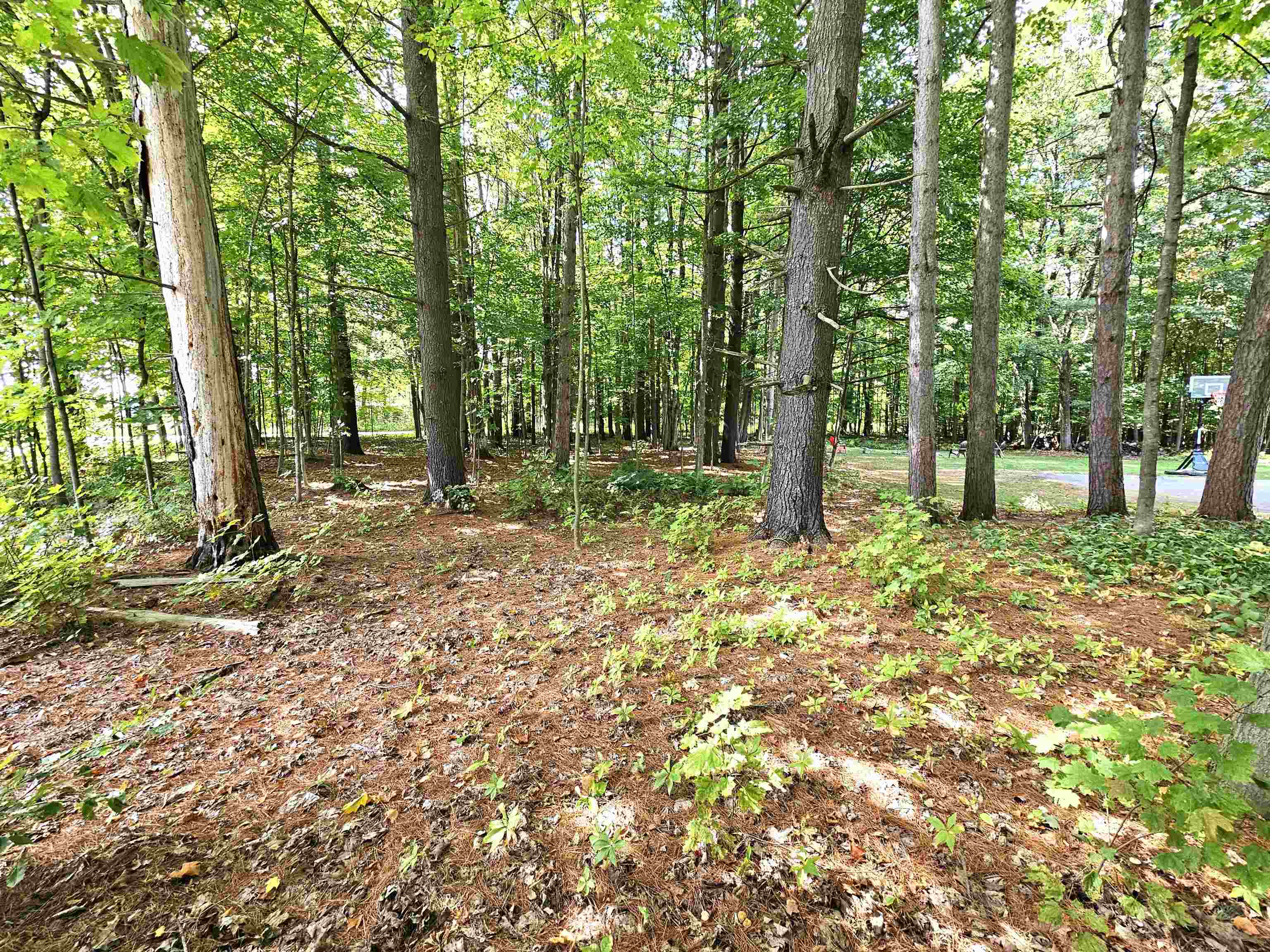 35 Spruce Street Newport, VT 05855 - Photo 33 of 50 Gallery Image 33