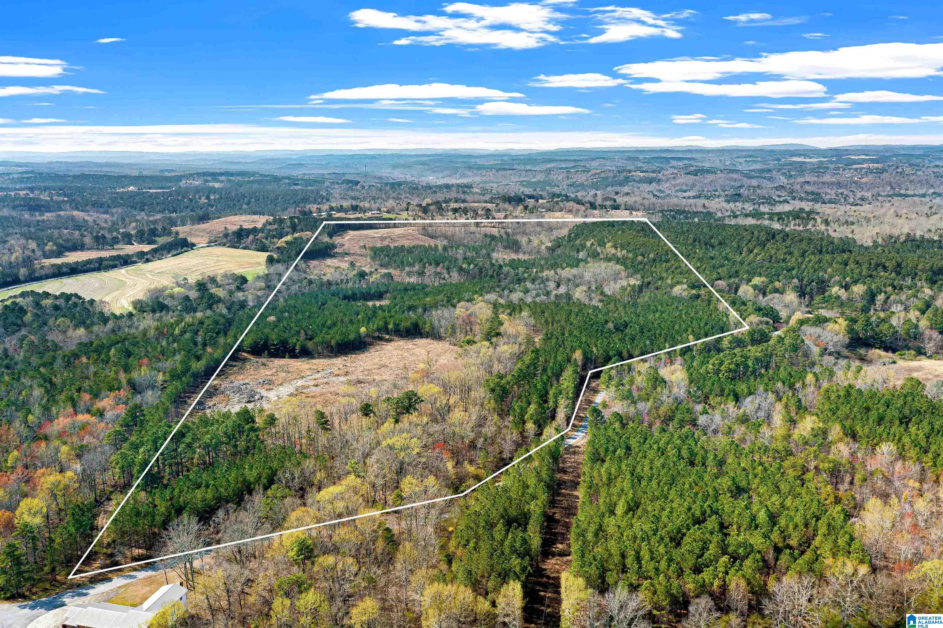 0 Frost Road, Unit 100 / ACRES Springville, AL 35146 - Photo 58 of 60