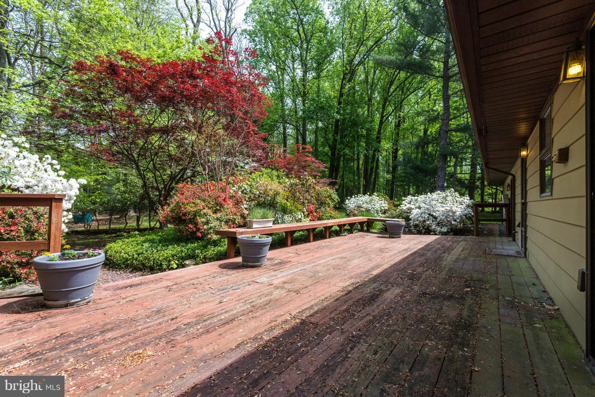 2161 Marymont Road Silver Spring, MD 20906 - Photo 25 of 30 Wrap Around Deck
