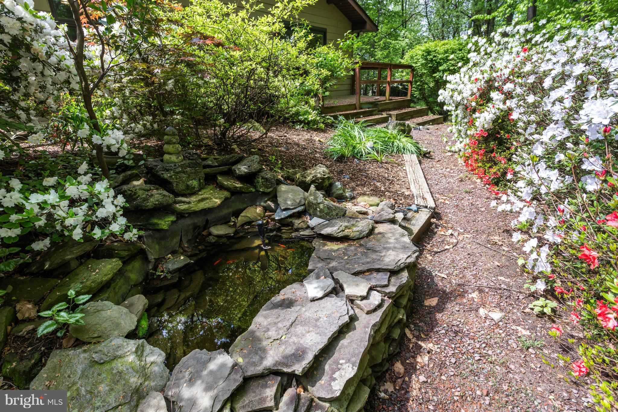 2161 Marymont Road Silver Spring, MD 20906 - Photo 28 of 30 Backyard Fish Pond