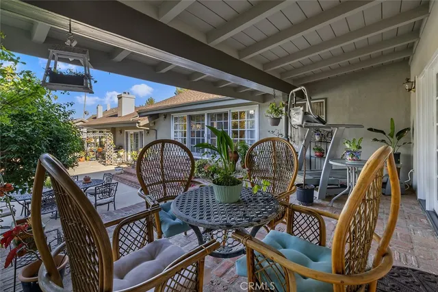 a view of a garden with plants