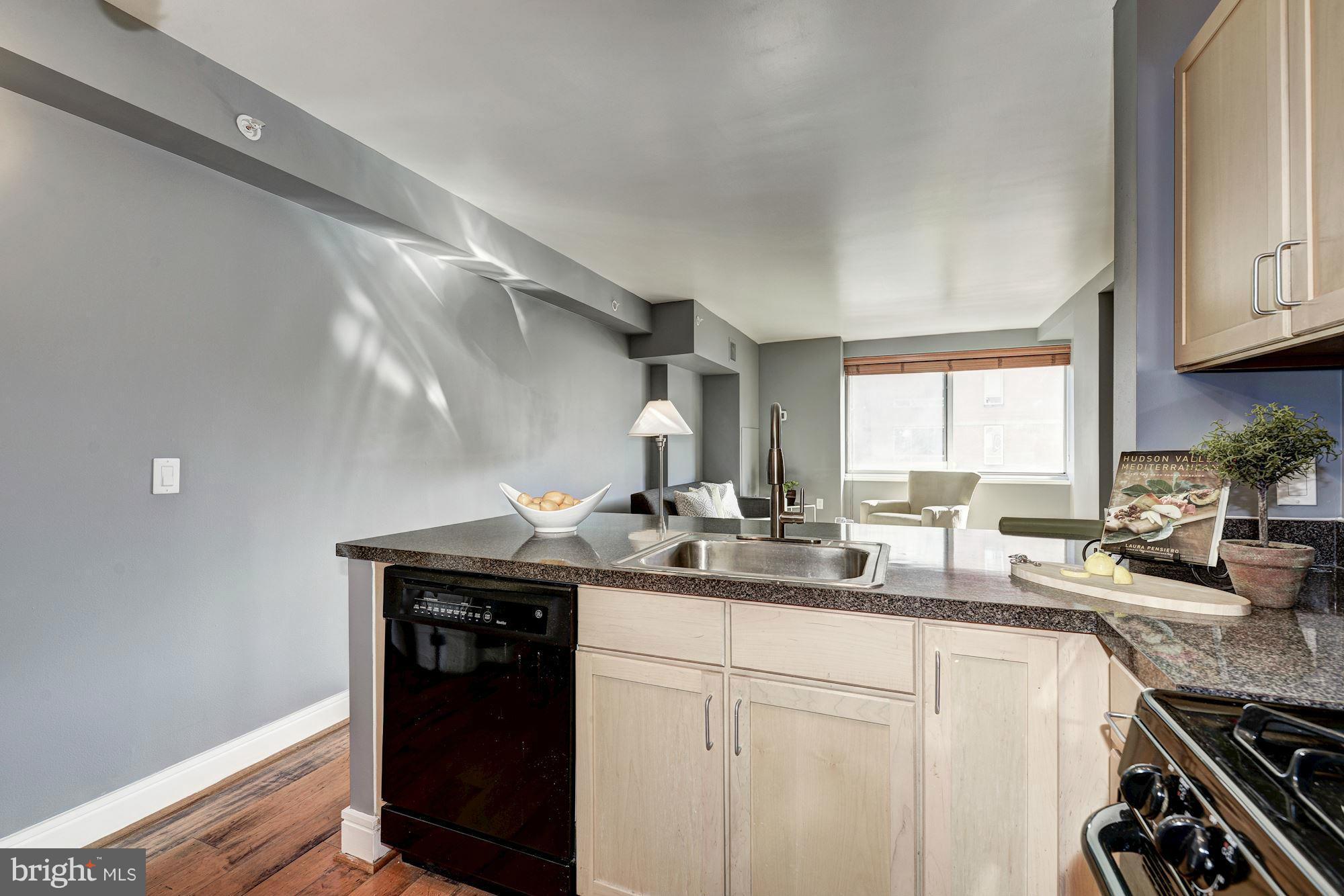 800 4th Street Southwest, Unit N312 Washington, DC 20024 - Photo 5 of 20 Kitchen