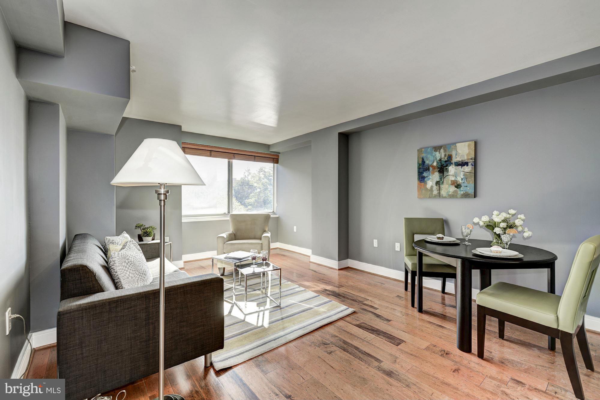800 4th Street Southwest, Unit N312 Washington, DC 20024 - Photo 8 of 20 Living Room