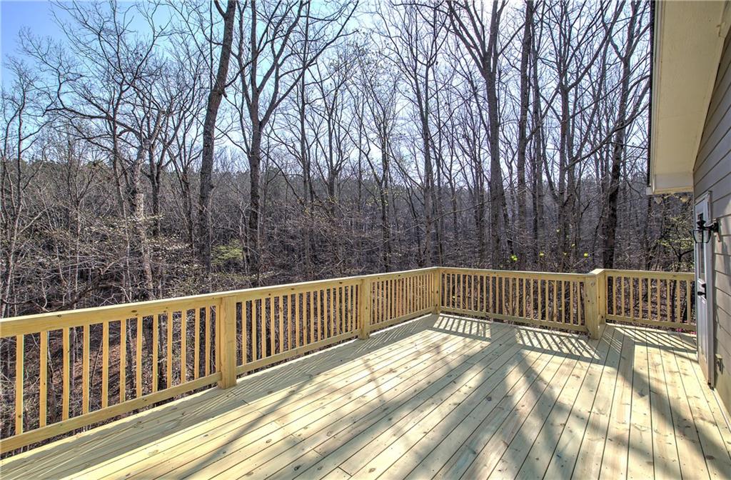 8381 Highway 100 Buchanan, GA 30113 - Photo 38 of 62