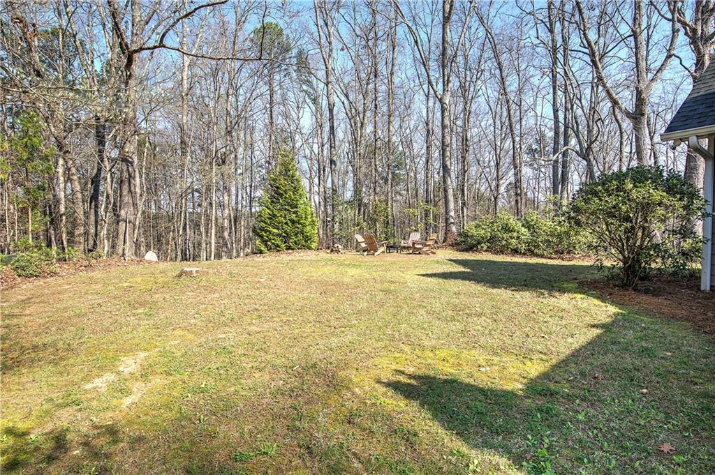 8381 Highway 100 Buchanan, GA 30113 - Photo 42 of 62