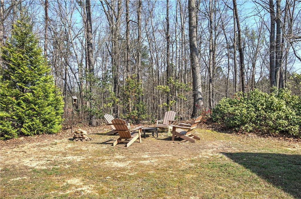 8381 Highway 100 Buchanan, GA 30113 - Photo 43 of 62