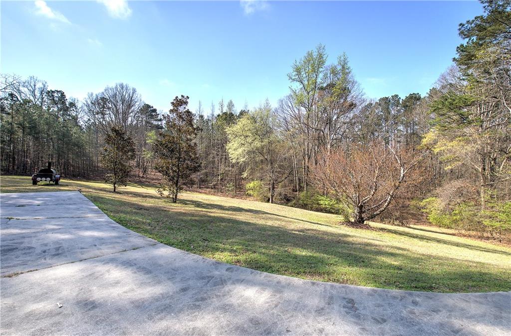 8381 Highway 100 Buchanan, GA 30113 - Photo 46 of 62