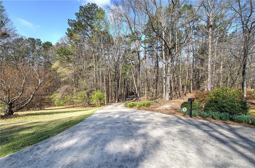 8381 Highway 100 Buchanan, GA 30113 - Photo 47 of 62