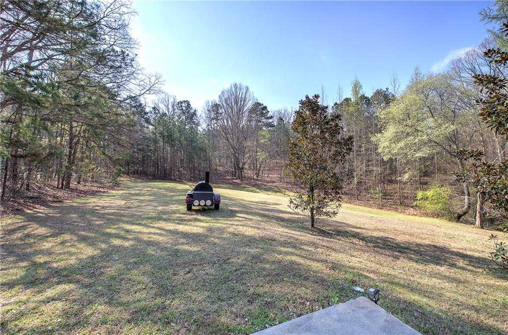 8381 Highway 100 Buchanan, GA 30113 - Photo 48 of 62