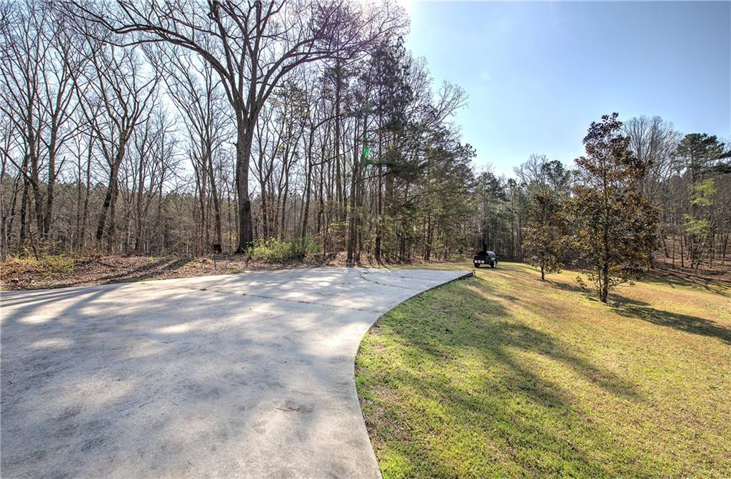 8381 Highway 100 Buchanan, GA 30113 - Photo 49 of 62