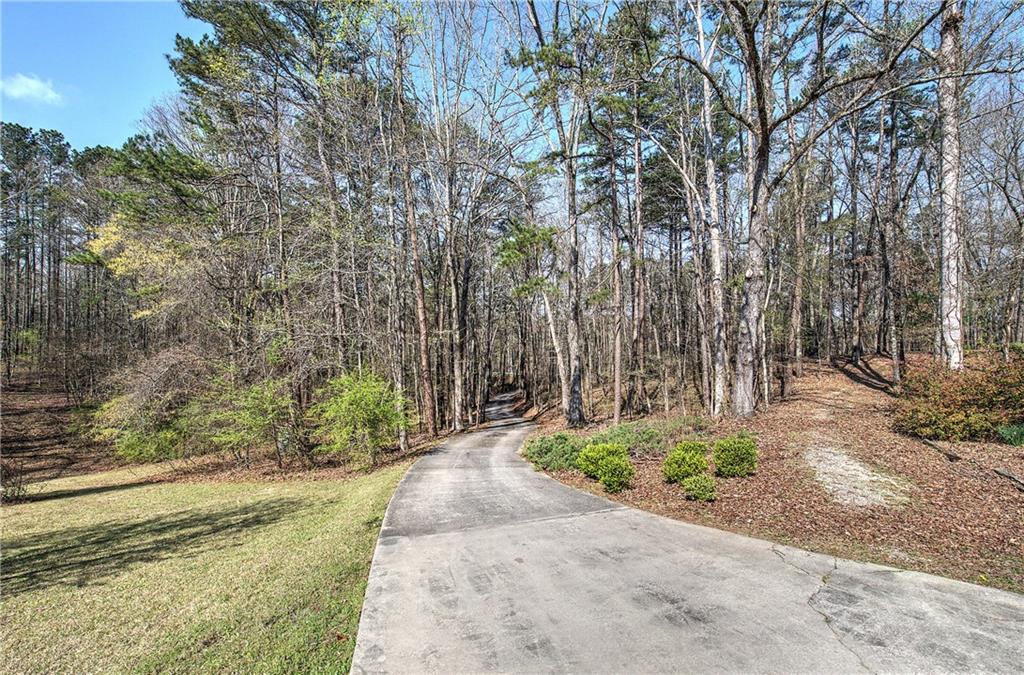 8381 Highway 100 Buchanan, GA 30113 - Photo 50 of 62