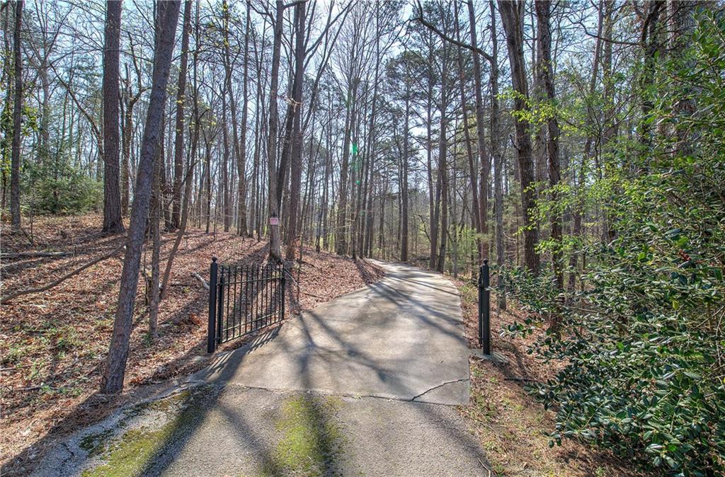 8381 Highway 100 Buchanan, GA 30113 - Photo 51 of 62