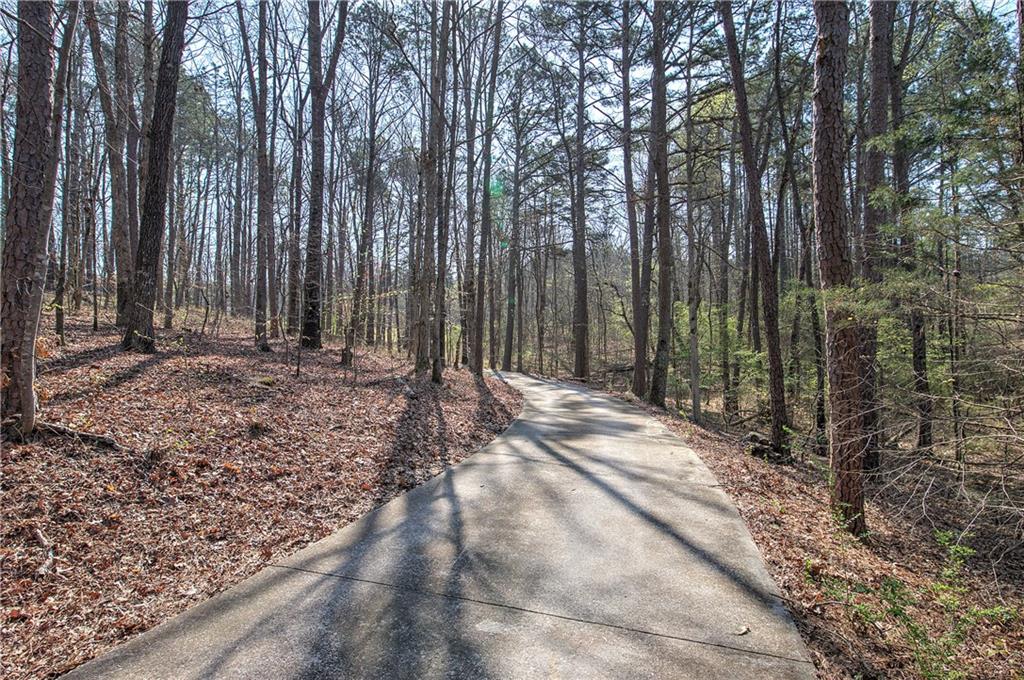 8381 Highway 100 Buchanan, GA 30113 - Photo 52 of 62