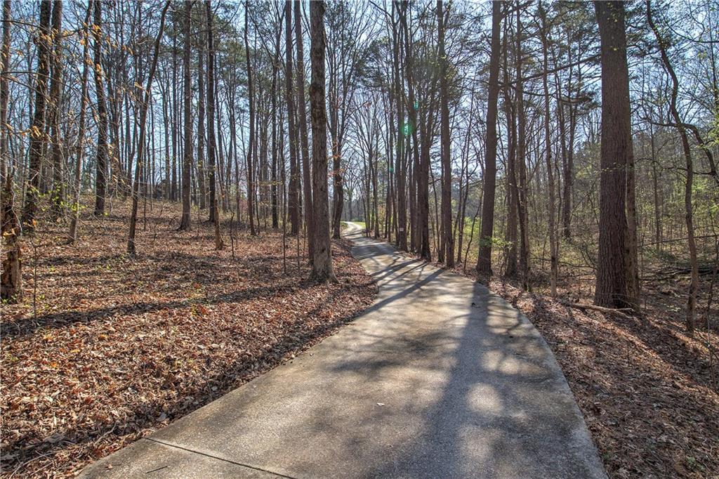 8381 Highway 100 Buchanan, GA 30113 - Photo 53 of 62