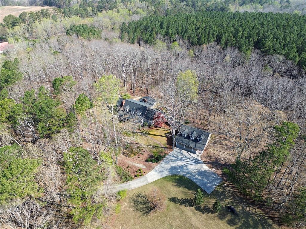 8381 Highway 100 Buchanan, GA 30113 - Photo 55 of 62