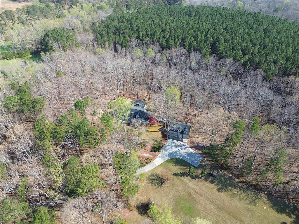 8381 Highway 100 Buchanan, GA 30113 - Photo 56 of 62