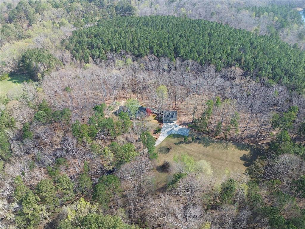 8381 Highway 100 Buchanan, GA 30113 - Photo 57 of 62