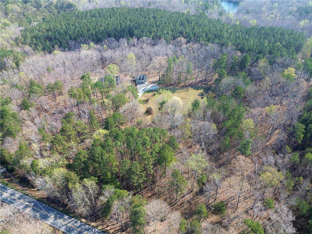 8381 Highway 100 Buchanan, GA 30113 - Photo 58 of 62