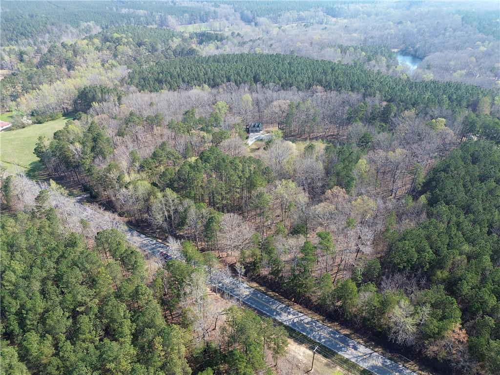 8381 Highway 100 Buchanan, GA 30113 - Photo 61 of 62