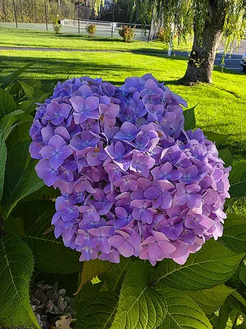 $1,299,000 | 147 Beach Avenue, Unit 42, Kennebunk, ME 04043