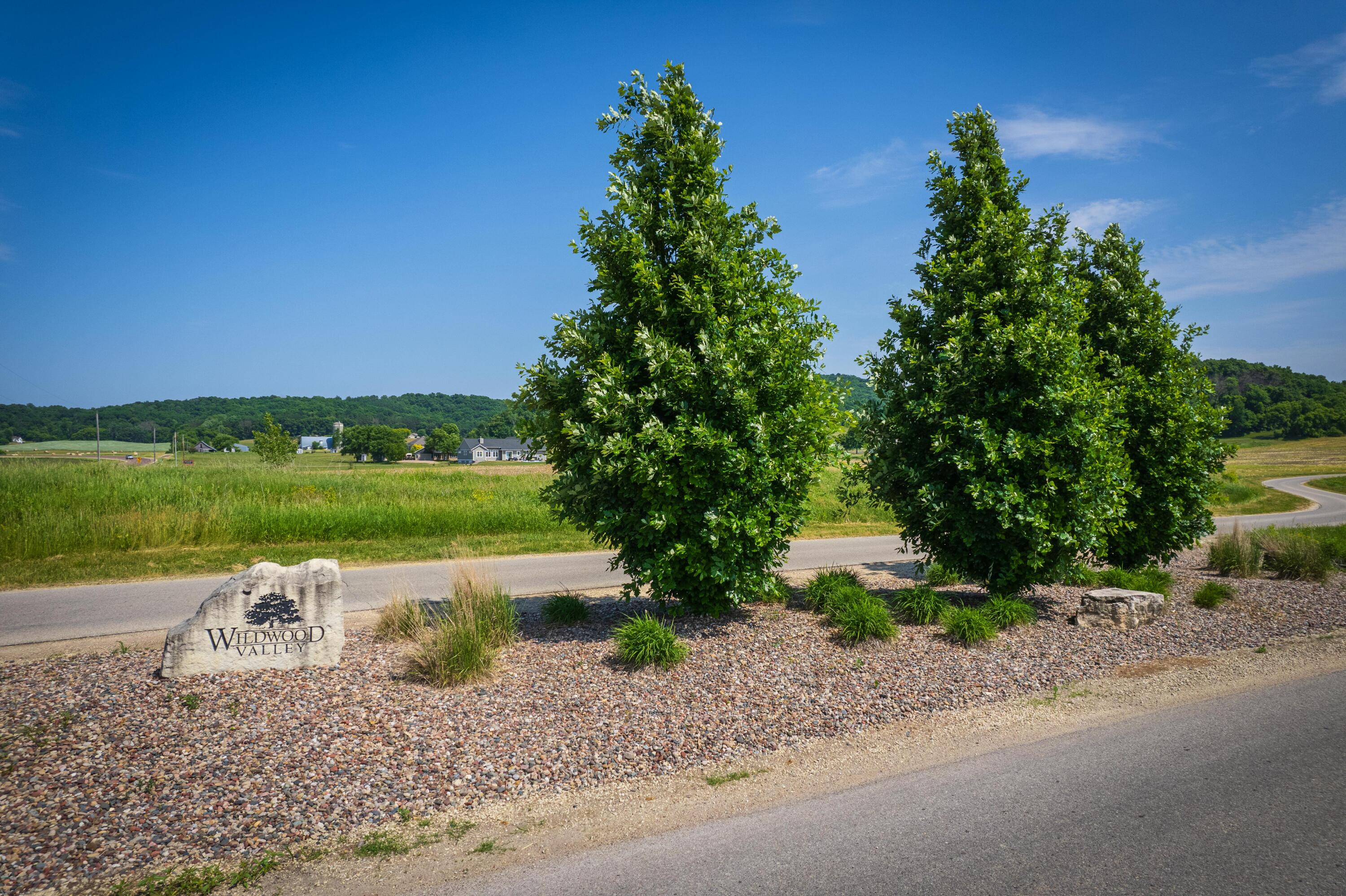 Lot 65 Pinewood Drive Holmen, WI 54636 - Photo 2 of 9 Wildwood Valley 1