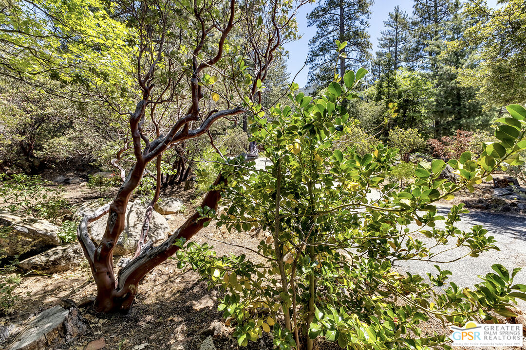 25465 Seneca Road Idyllwild, CA 92549 - Photo 50 of 71