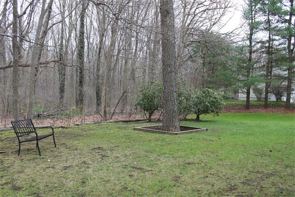 237 East Emerson Road Lexington, MA 02420 - Photo 22 of 22 a garden with trees in the background