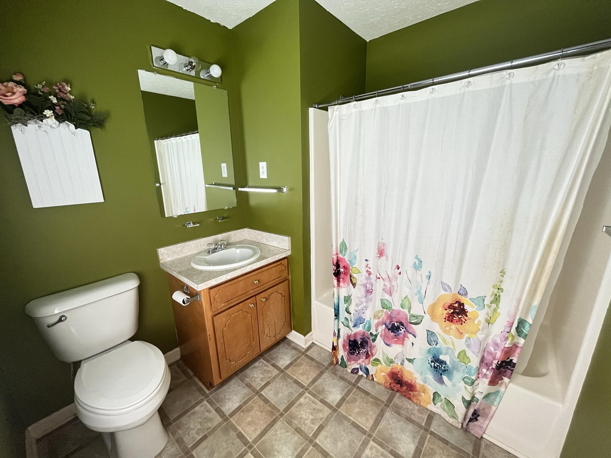 1550 Dry Bridge Road Chatham, VA 24531 - Photo 10 of 16 a bathroom with a sink mirror vanity and toilet